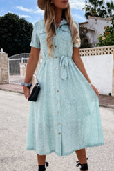 Print Split Joint Turndown Collar A Line Dresses Ins Street