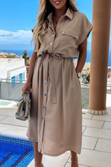 Elegant Solid Frenulum Buckle POLO collar A Line Dresses(3 colors) Ins Street