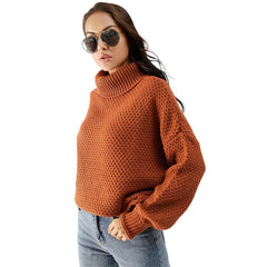 WAFFLE KNIT TURTLENECK SWEATER Carmar Denim