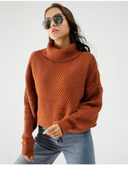 WAFFLE KNIT TURTLENECK SWEATER Carmar Denim