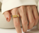 Geometric Minimalist Ring Female Niche Design Cold Wind D-Shaped Fashion Trending Ring Ornament Male Ins street