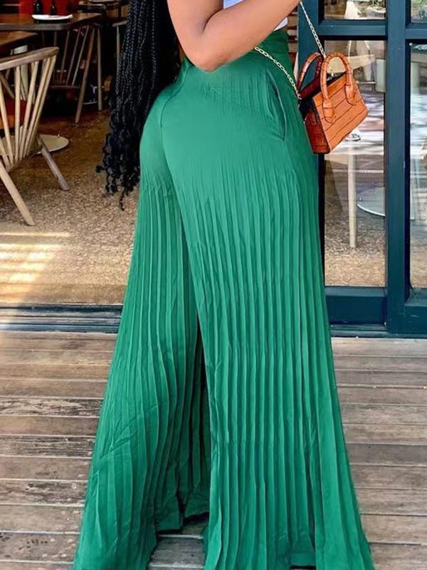 Pleated Wide-Leg Pants Ins Street