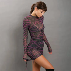 Print Mesh Drawstring Ruched Clubwear Mini Dress InsStreet