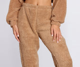 Cozier Than Ever Sherpa PJ Joggers Ins Street