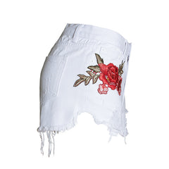 TITANIA ROSE EMBROIDERED DENIM SHORTS insstreet