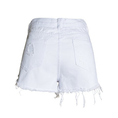 TITANIA ROSE EMBROIDERED DENIM SHORTS insstreet