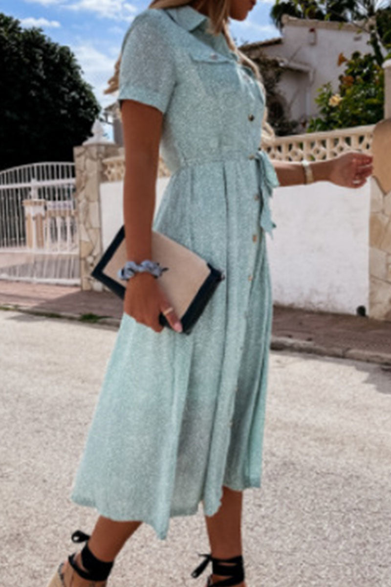 Print Split Joint Turndown Collar A Line Dresses Ins Street
