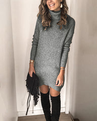 Kannon Turtleneck Sweater Dress - Slate - FINAL SALE Ins Street