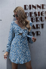 Springsteen Floral Tie Front Cutout Dress - Blue Ins Street