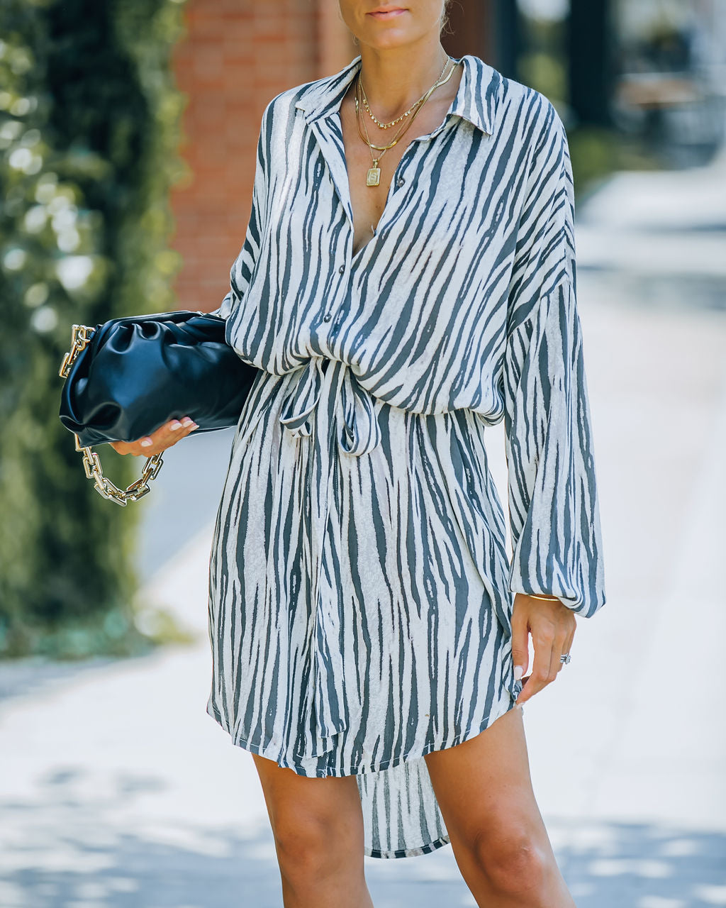 Joyner Zebra Print Button Down Shirt Dress - Charcoal - FINAL SALE Ins Street