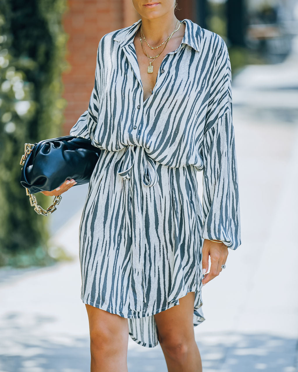 Joyner Zebra Print Button Down Shirt Dress - Charcoal - FINAL SALE Ins Street