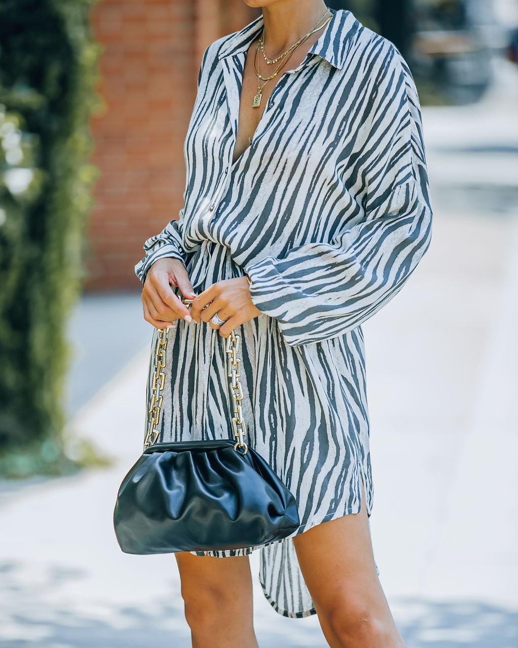 Joyner Zebra Print Button Down Shirt Dress - Charcoal - FINAL SALE Ins Street