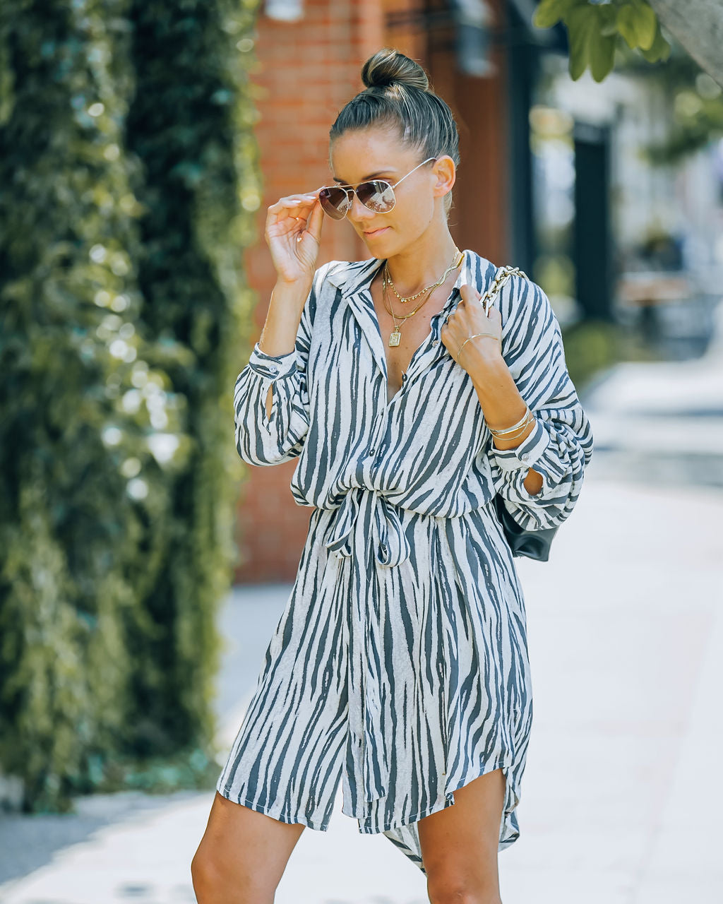 Joyner Zebra Print Button Down Shirt Dress - Charcoal - FINAL SALE Ins Street