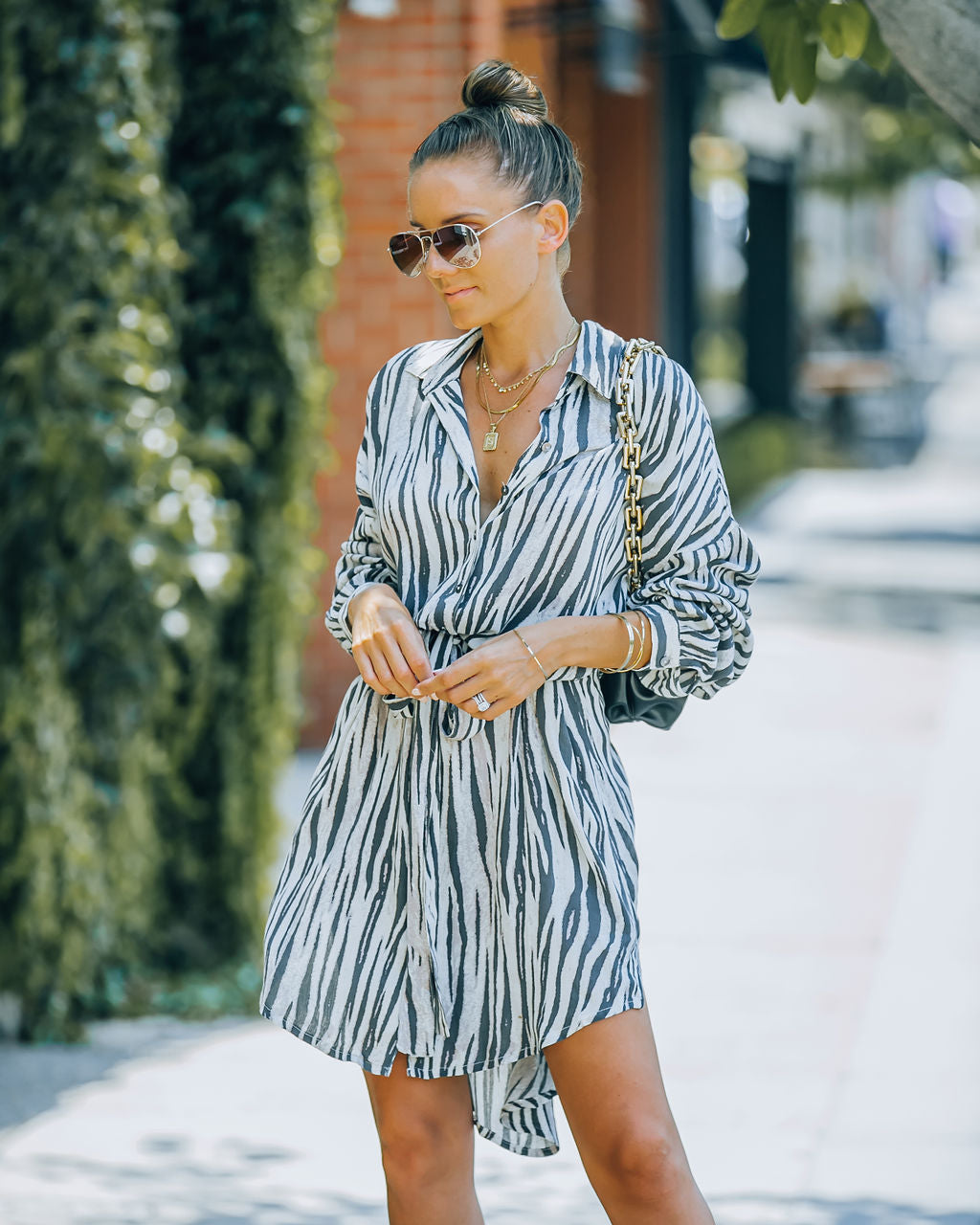 Joyner Zebra Print Button Down Shirt Dress - Charcoal - FINAL SALE Ins Street