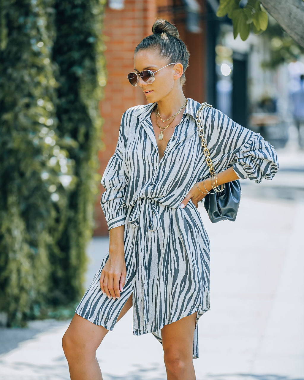 Joyner Zebra Print Button Down Shirt Dress - Charcoal - FINAL SALE Ins Street