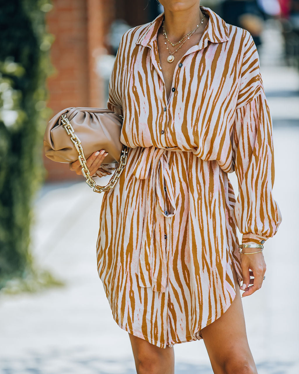 Joyner Zebra Print Button Down Shirt Dress - Burnt Orange - FINAL SALE Ins Street