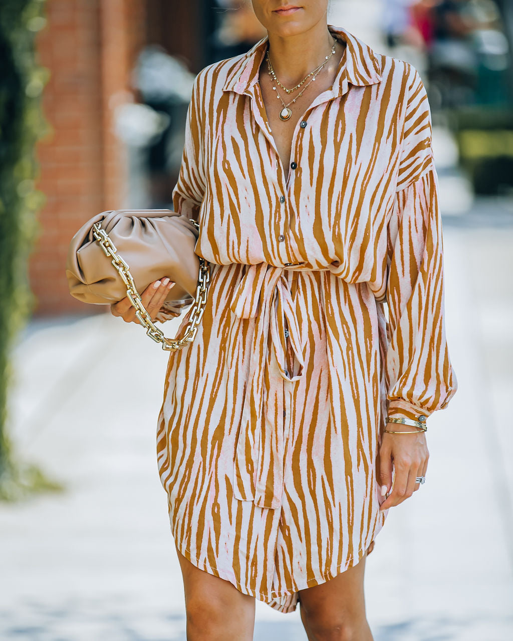 Joyner Zebra Print Button Down Shirt Dress - Burnt Orange - FINAL SALE Ins Street