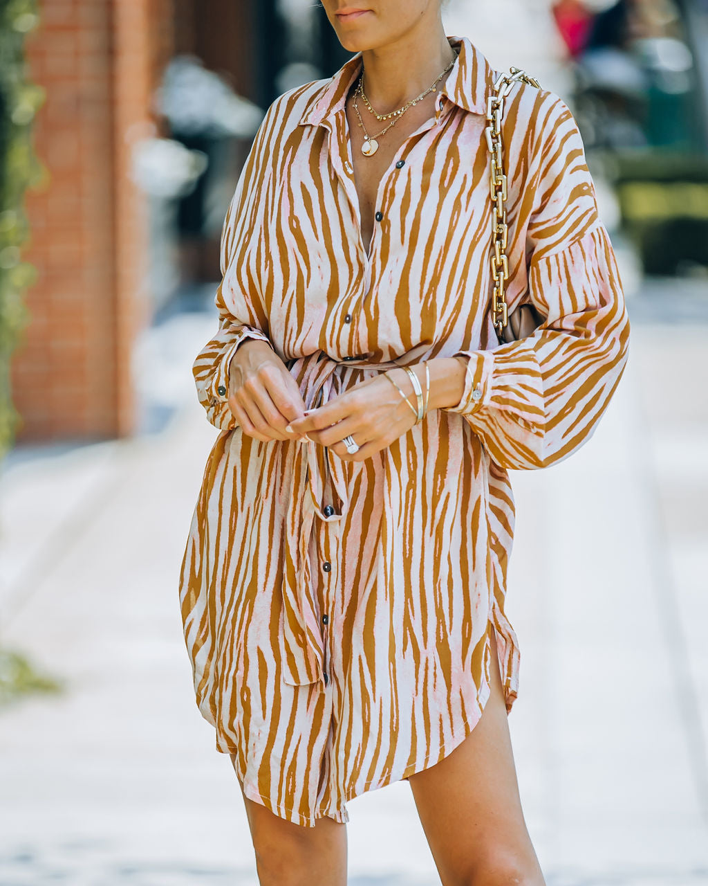 Joyner Zebra Print Button Down Shirt Dress - Burnt Orange - FINAL SALE Ins Street