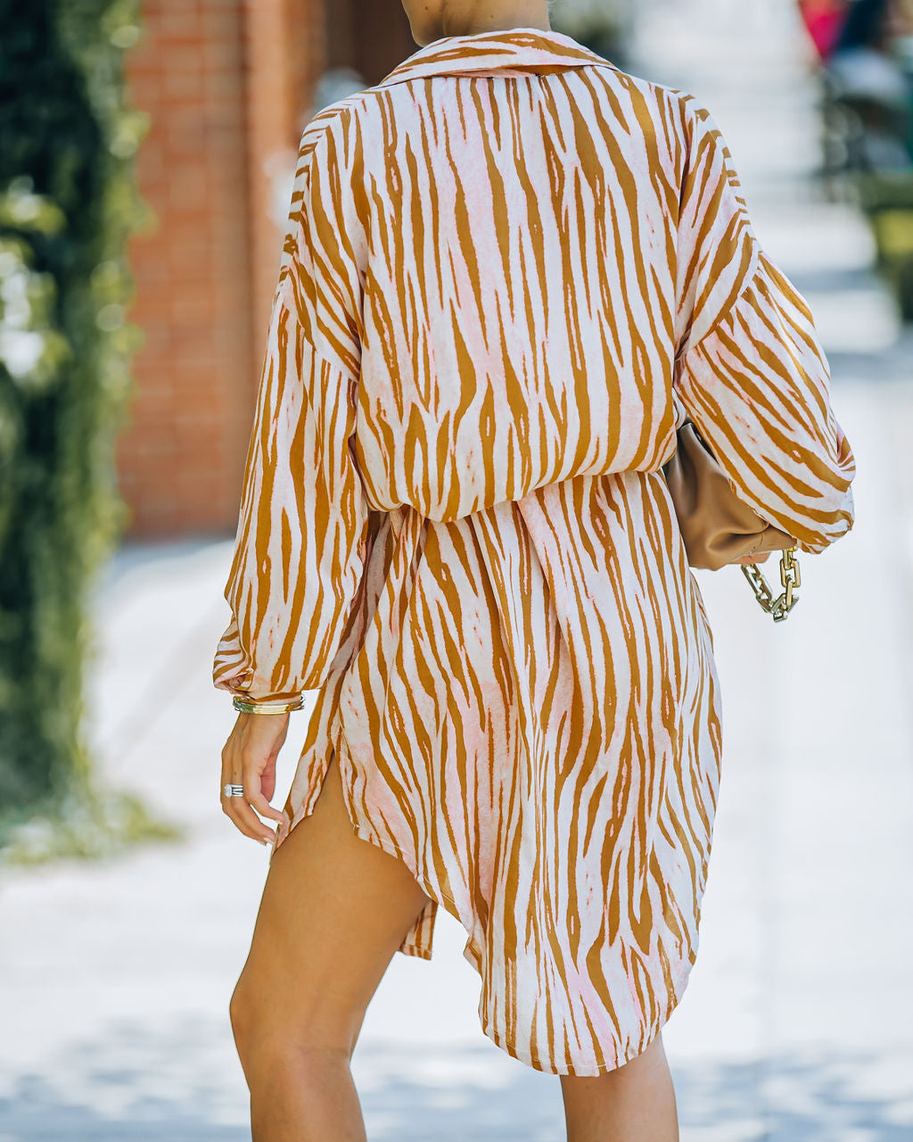 Joyner Zebra Print Button Down Shirt Dress - Burnt Orange - FINAL SALE Ins Street