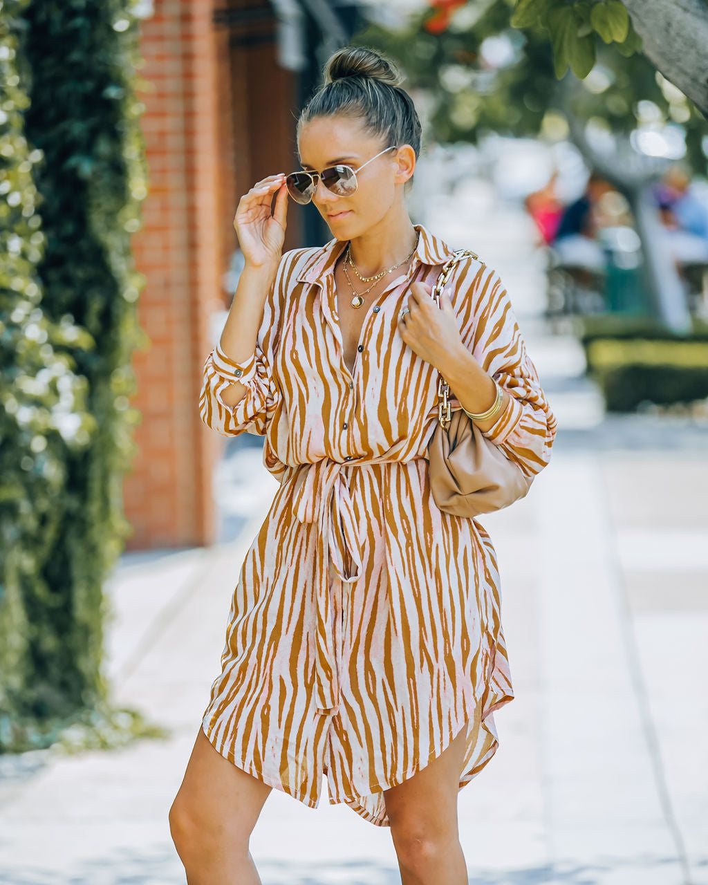 Joyner Zebra Print Button Down Shirt Dress - Burnt Orange - FINAL SALE Ins Street