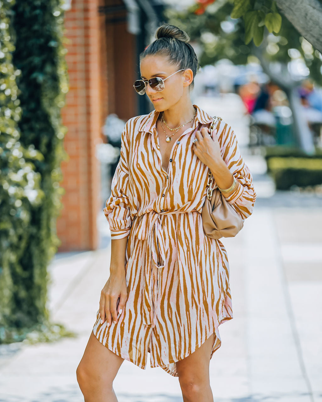 Joyner Zebra Print Button Down Shirt Dress - Burnt Orange - FINAL SALE Ins Street