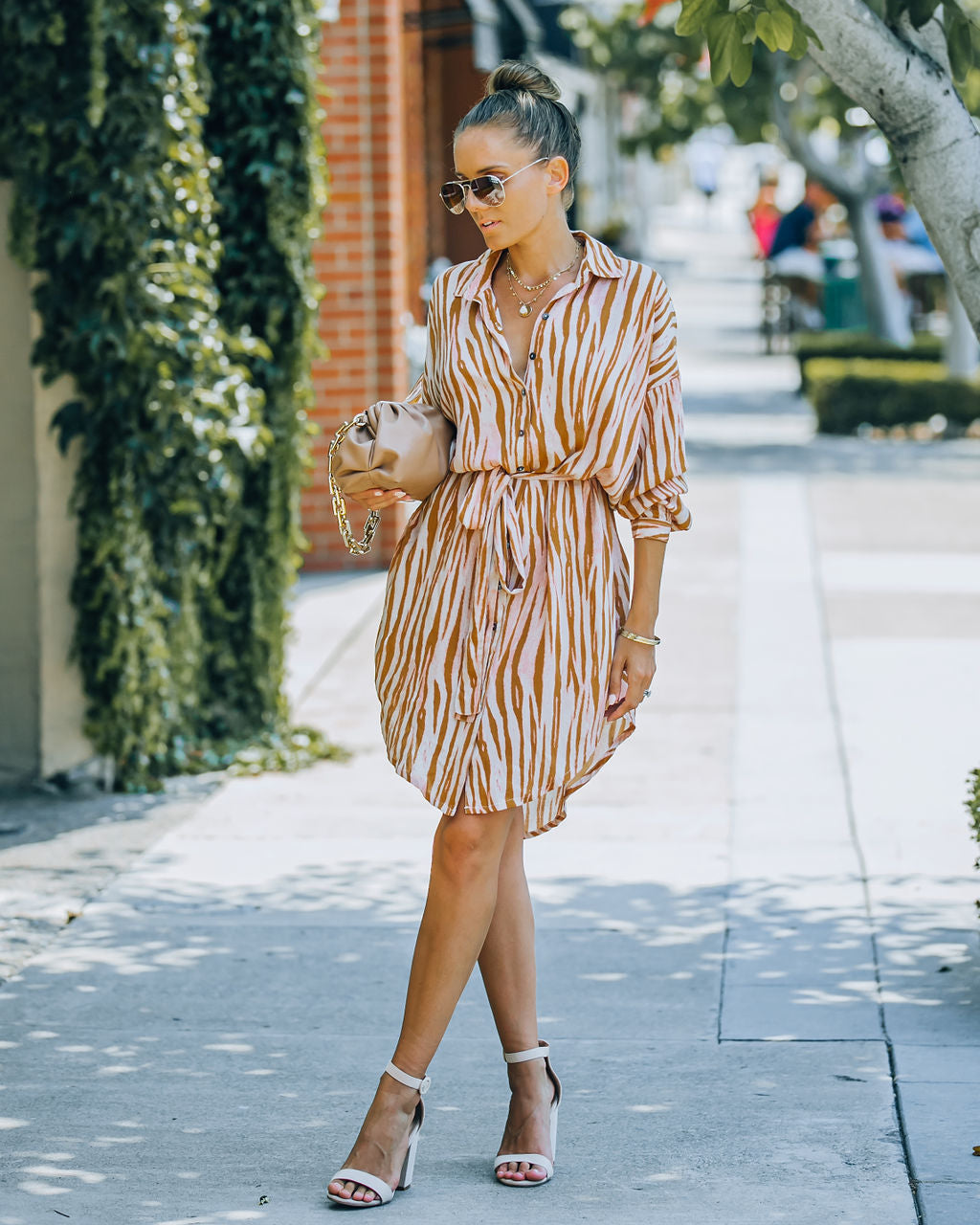 Joyner Zebra Print Button Down Shirt Dress - Burnt Orange - FINAL SALE Ins Street