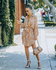 Joyner Zebra Print Button Down Shirt Dress - Burnt Orange - FINAL SALE Ins Street