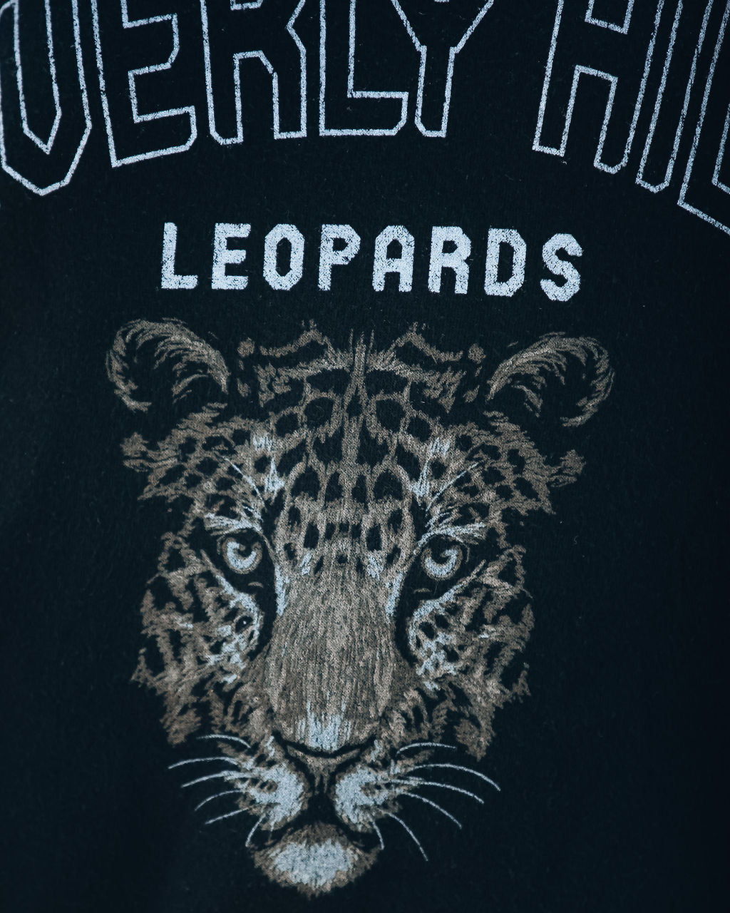 Soft Knit Beverly Hills Leopard Pullover Ins Street