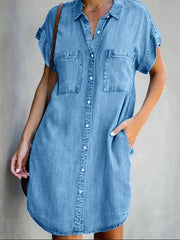 Ginnie Pintuck Button Down Shirt Dress - Blue Ins Street