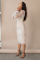 Embroidered Sheer Fitted Dress Ins Street