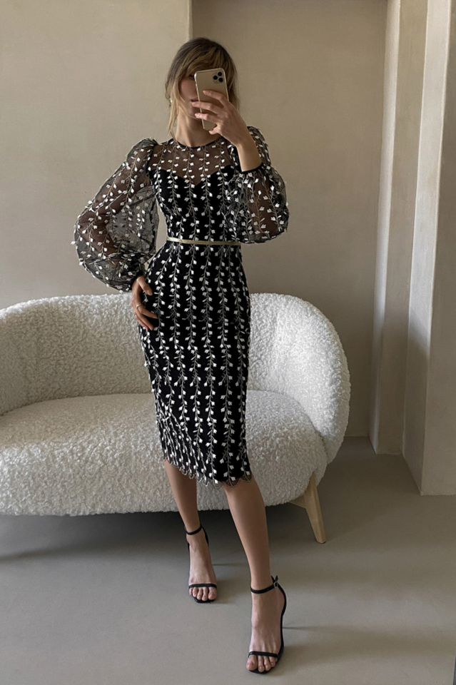 Embroidered Sheer Fitted Dress Ins Street