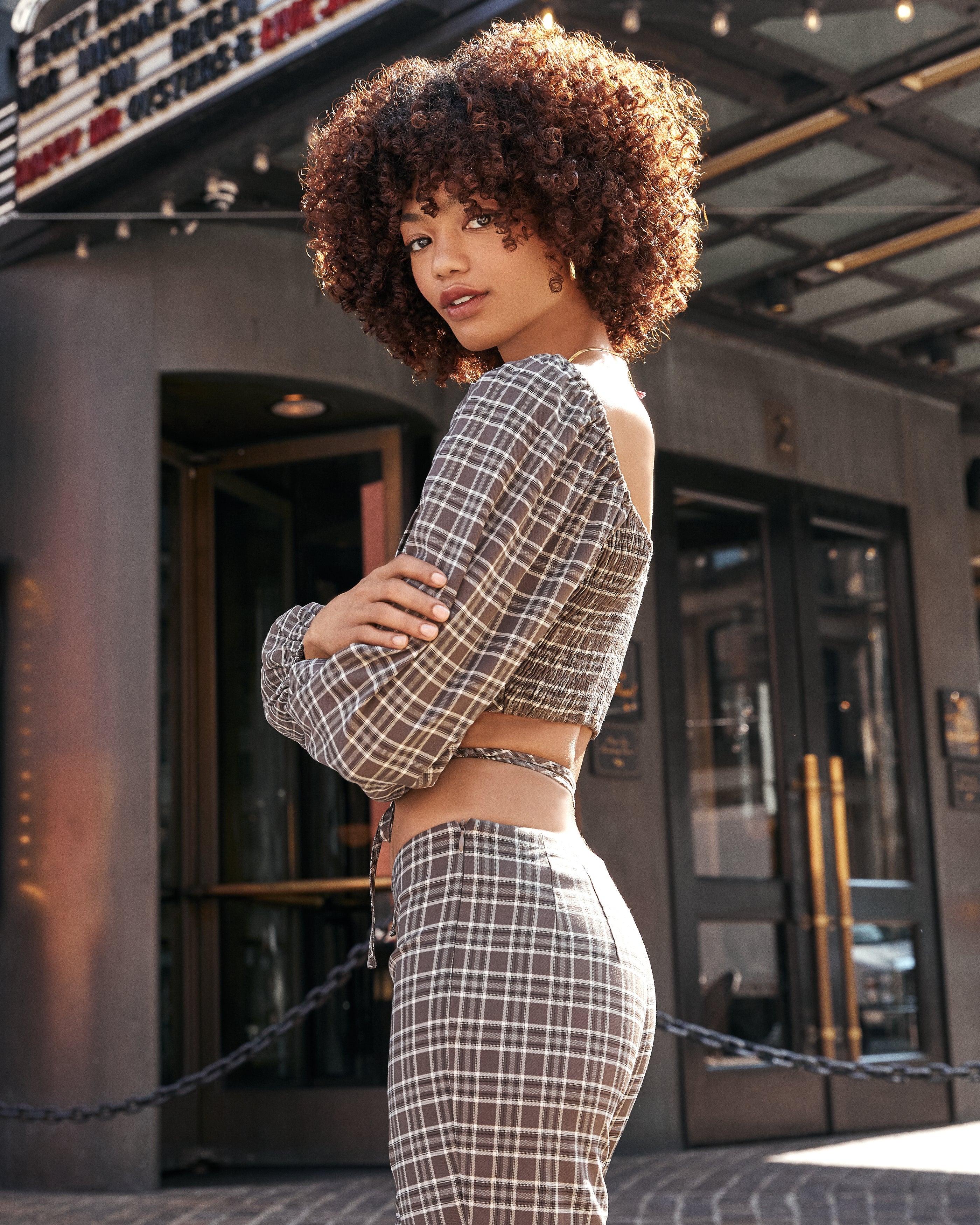 Chambers Plaid Long Sleeve Tie Crop Top - FINAL SALE Ins Street