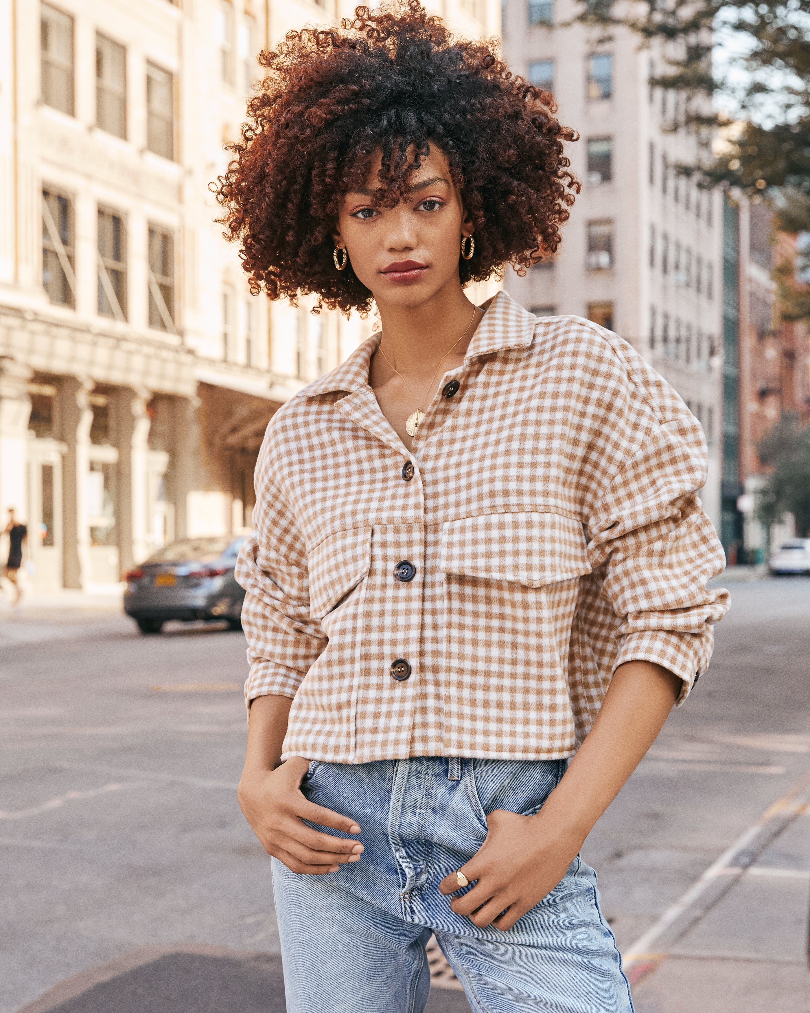 Wilfred Pocketed Gingham Crop Jacket Ins Street