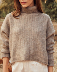 Walker Ribbed Crop Turtleneck Sweater Ins Street