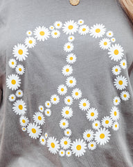 Daisies Create Peace Cotton Tee LULU-001